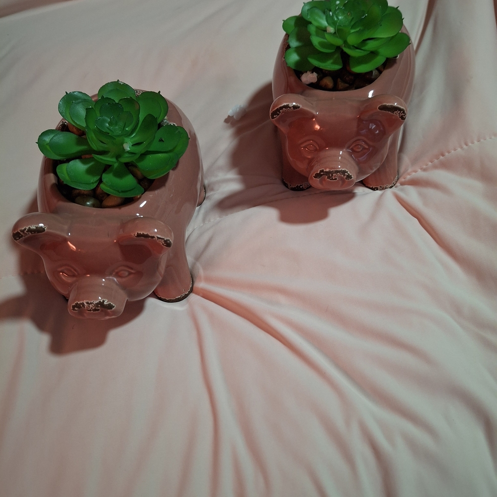 Mini Pink Pig Planter with Green Succulent